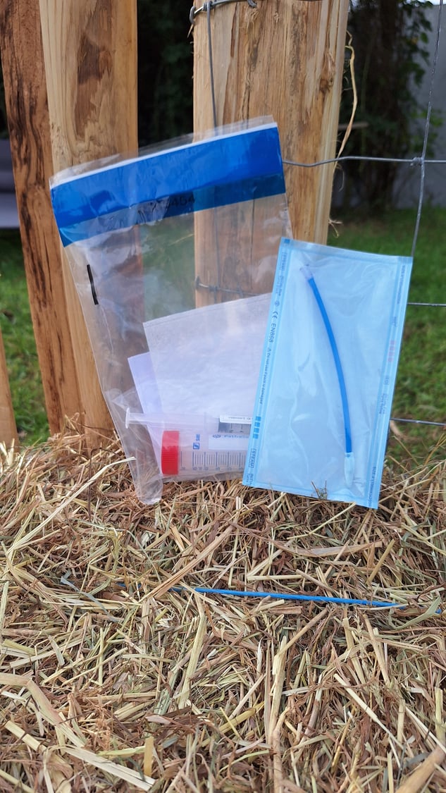 20240926_164321 20240926_164321